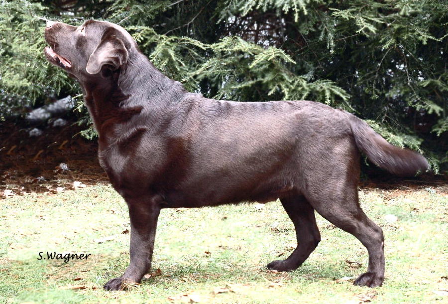 MacGregor